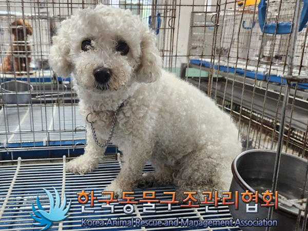 한국동물구조관리협회_411310202300304